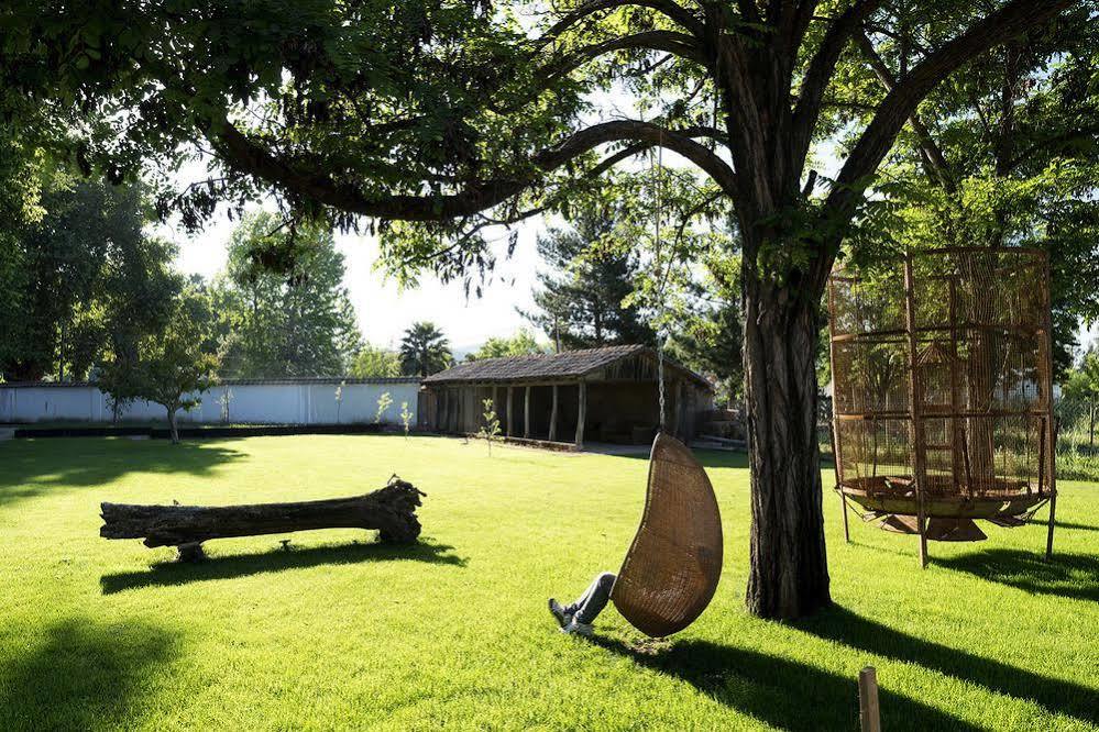 Noi Blend Colchagua Hotel Santa Cruz Exterior foto